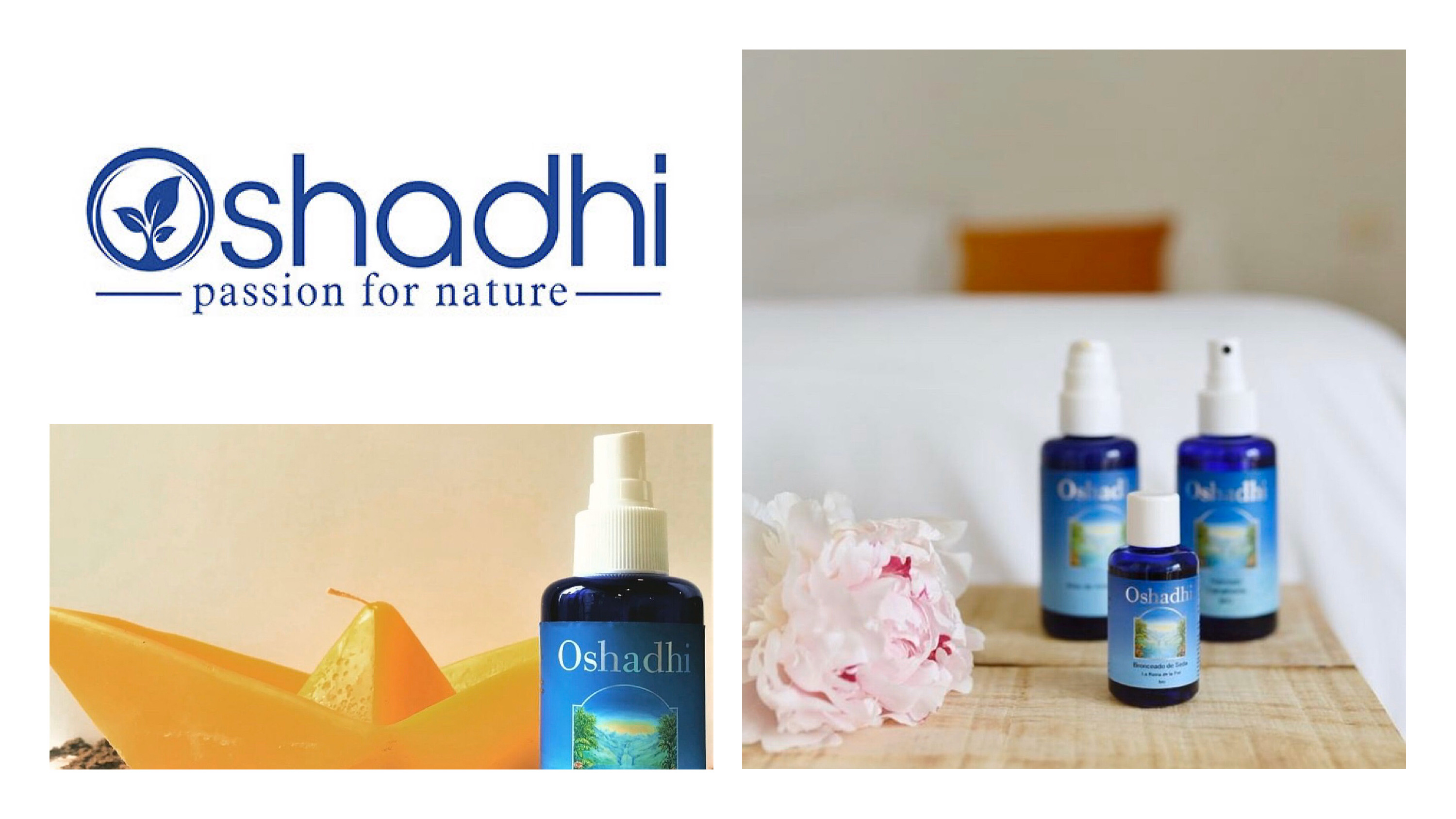 双十一最后省钱攻略，你不得不逛的良心好店