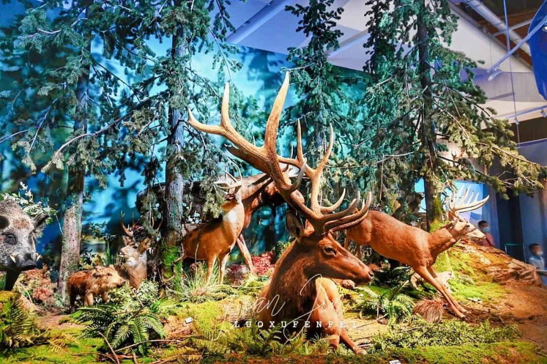 滨海新区海洋博物馆怎样预约,天津滨海亲子游最佳地点