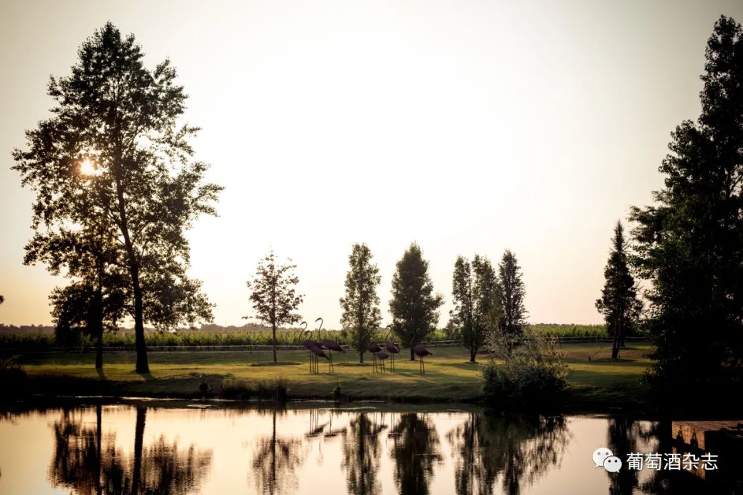 拉菲集团全系列产品图,拉菲集团旗下葡萄酒