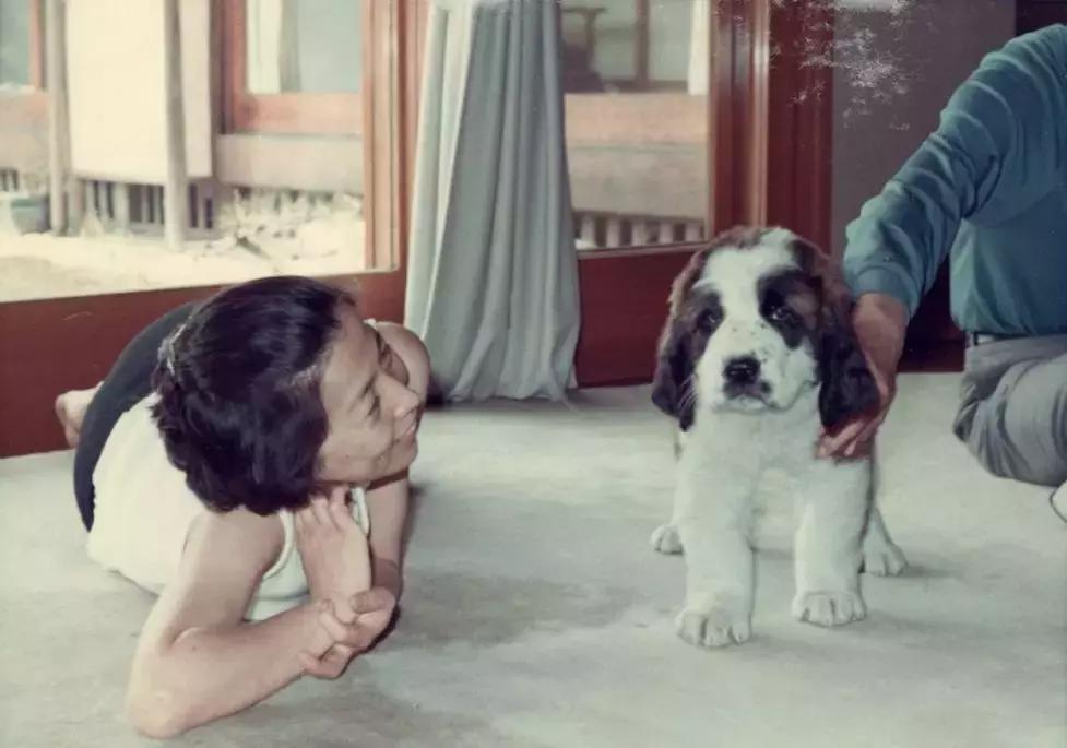 世人说我的爸爸是神，但他就是个普通人