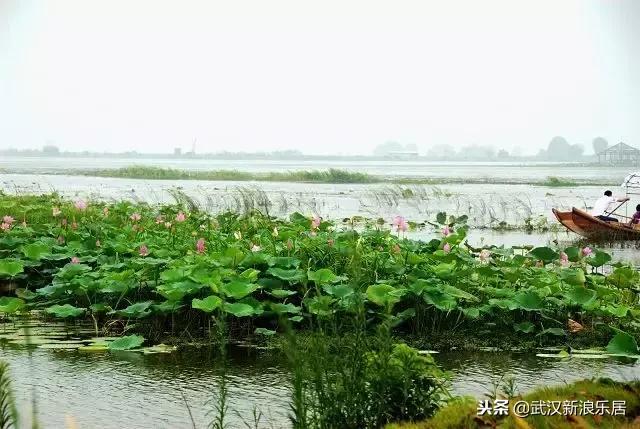 湖北马上要崛起的县,湖北应该重点发展的4个县市