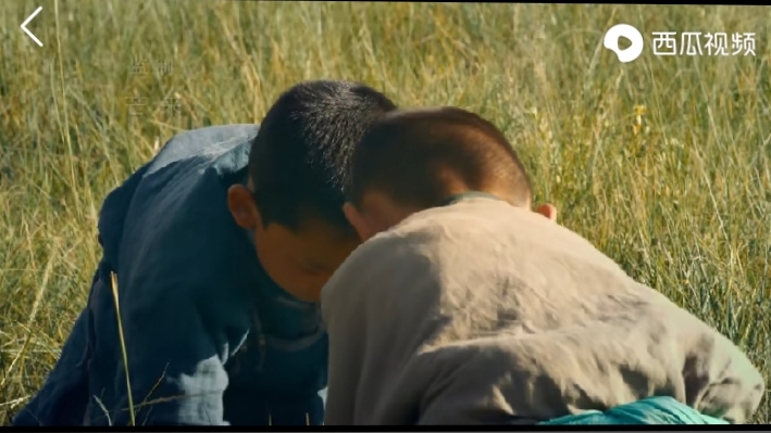 乌珠穆沁的孩子电影在线观看,乌珠穆沁的孩子怎么样