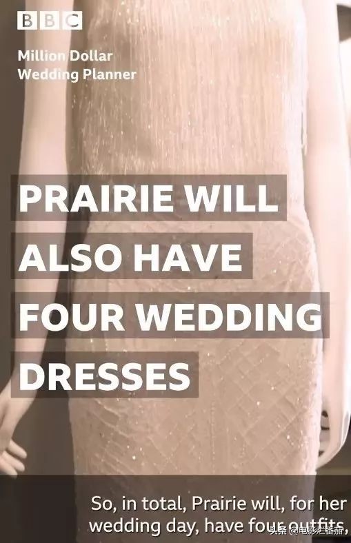 bbc纪录片案件,bbc纪录片百万婚礼策划