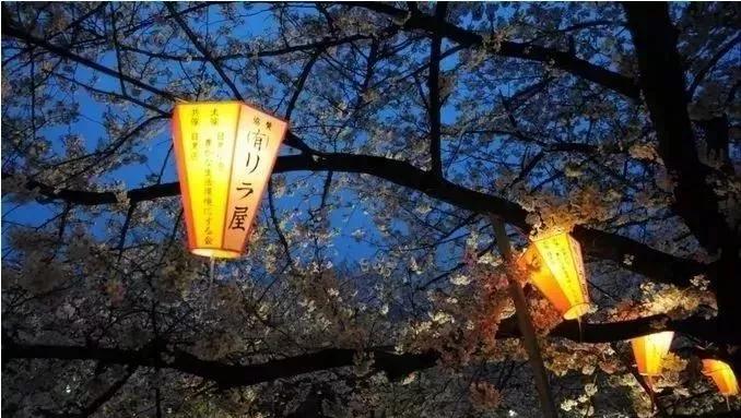 东京23区域的特点,东京23区居住体验对比