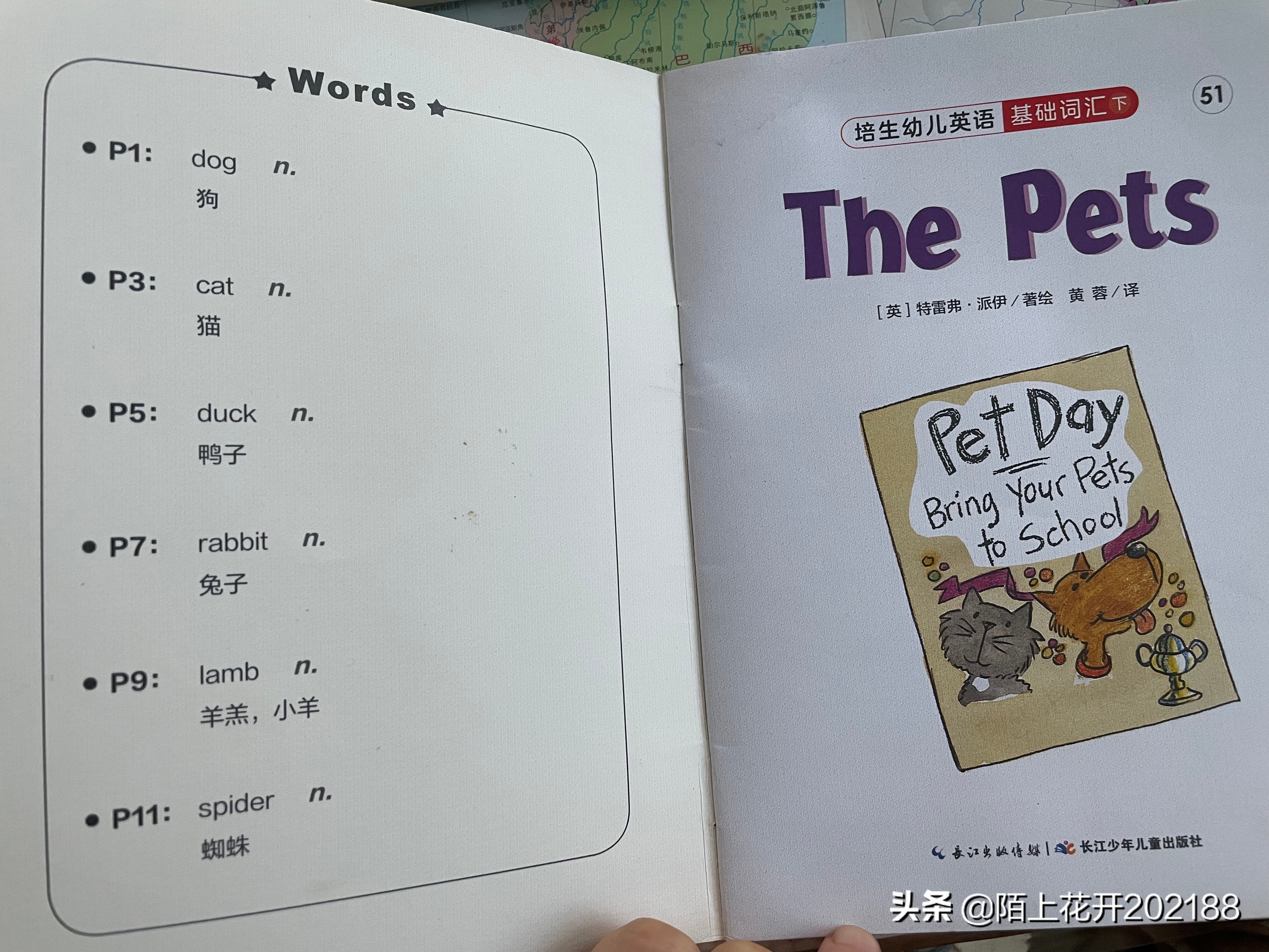 幼儿英语启蒙学习单词绘本,英语启蒙绘本4-6岁