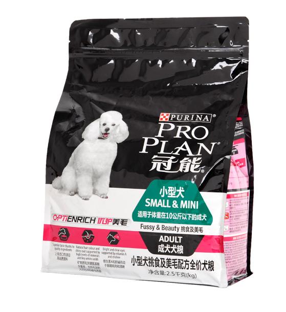 贫民窟女孩适合养什么狗,平价泰迪狗粮测评怎么样