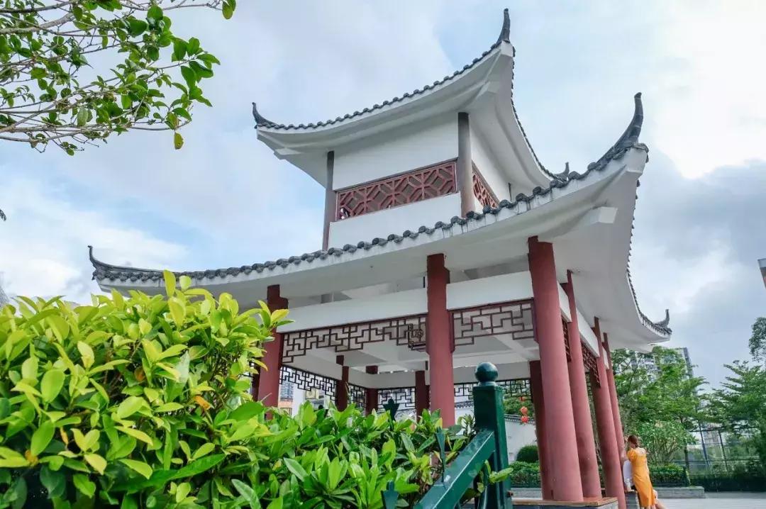 民治片区有未来吗,民治有什么特色