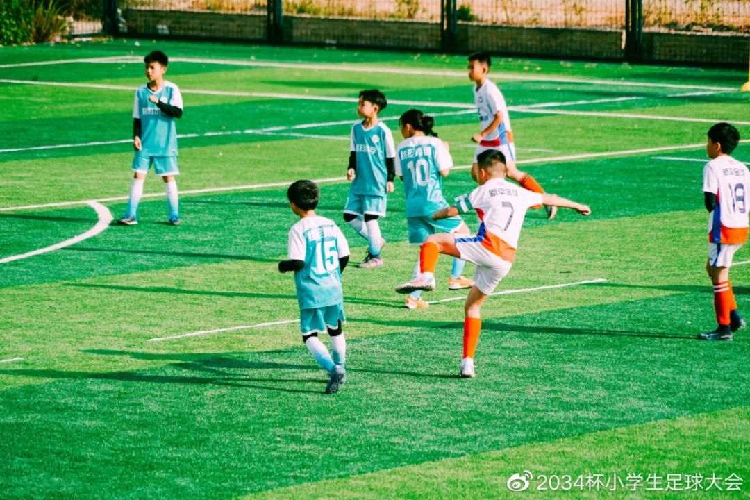 第一届2034杯小学生足球大会赛程,2034杯小学生足球大会集锦