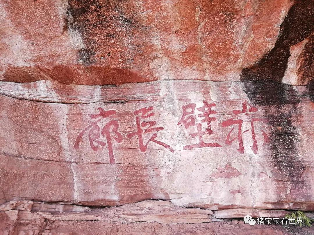 偌大的城市我的栖身之处在何处,偌大的城市容不下一个漂泊的灵魂