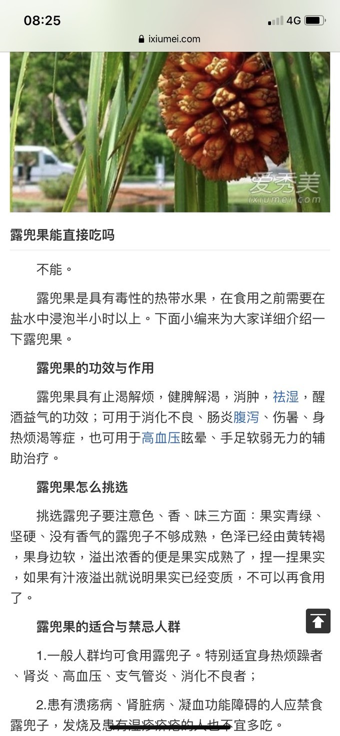 惠州出海冲浪游攻略,惠州出海攻略