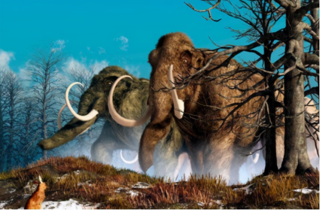史前猛犸象灭绝真正原因,最可能复活的为什么是猛犸象