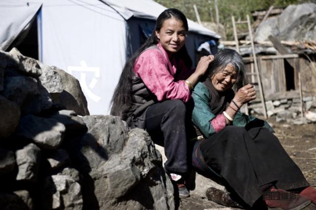 存在上亿年的虱子为何突然不见了,虱子灭绝了为什么消失不见了