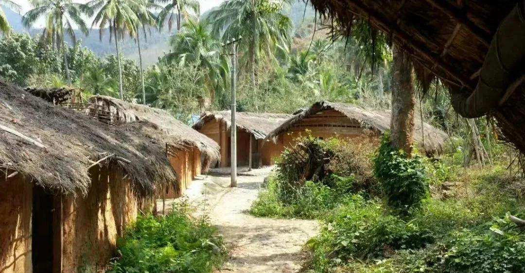 中国最美苏式私人院子,中国式老院子