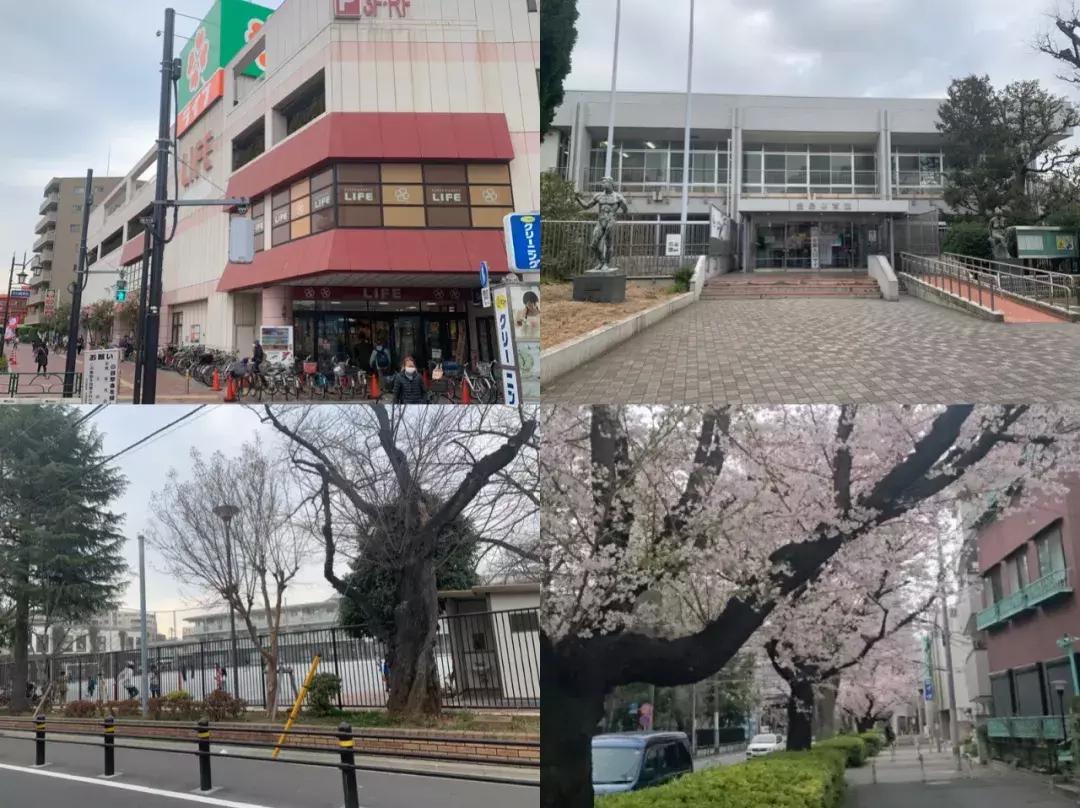 东京丰岛区公寓,东京丰岛区公寓价格