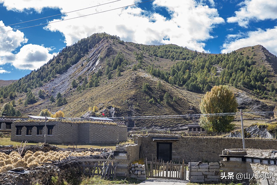 宸濊タ楂樺師澶ц崏鍘熺殑璺笂鐓х墖,闈掕棌楂樺師涓婄殑鑽夊師闆北椋庢櫙