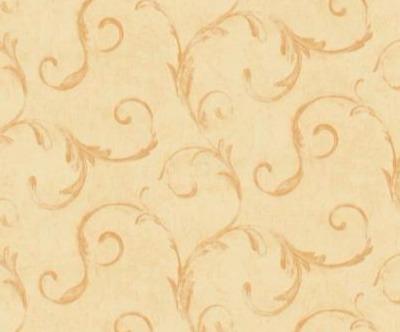 建材知识大全视频,建材知识