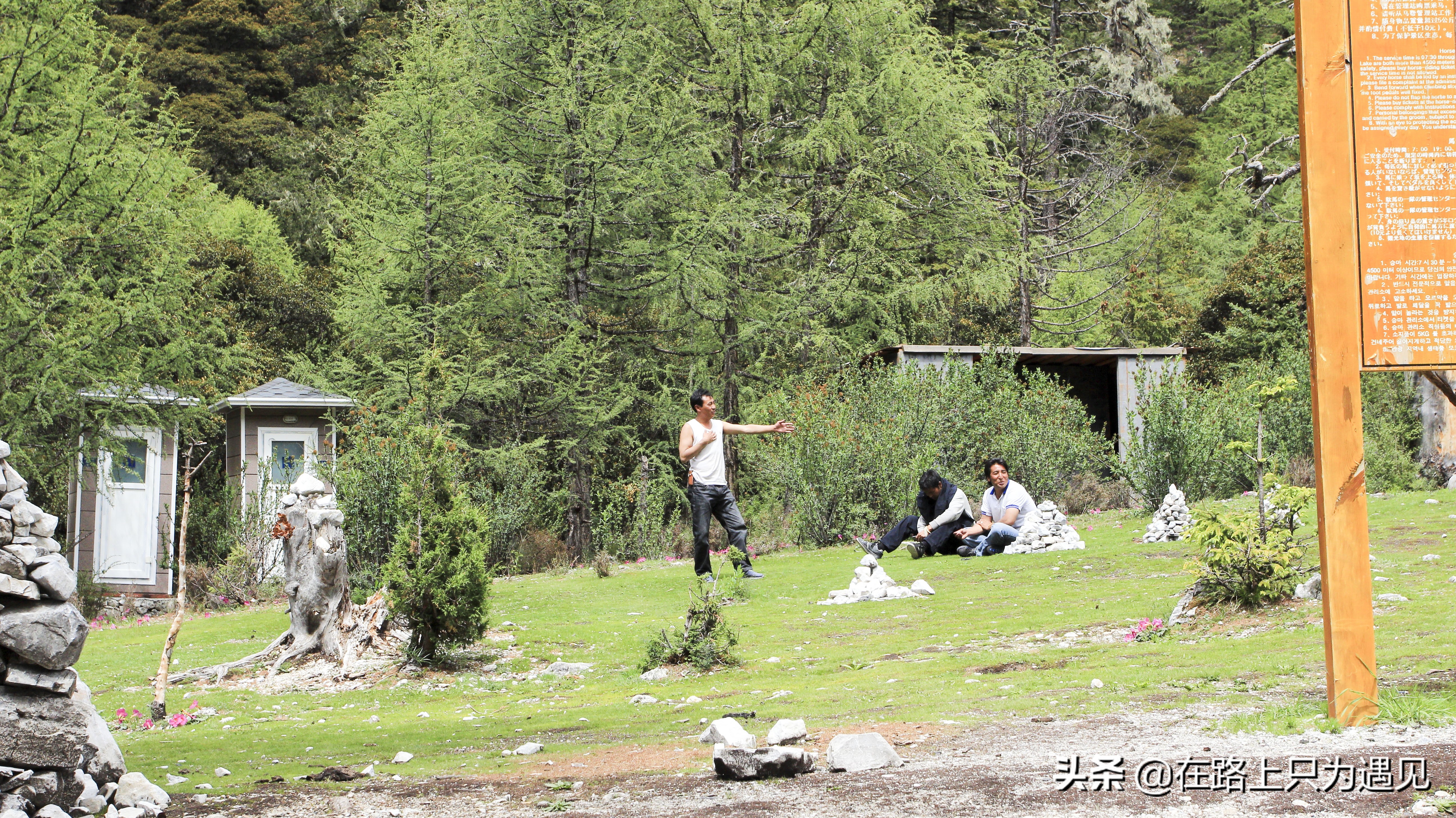 从你的全世界路过稻城亚丁主人公,从你的全世界路过稻城亚丁片段