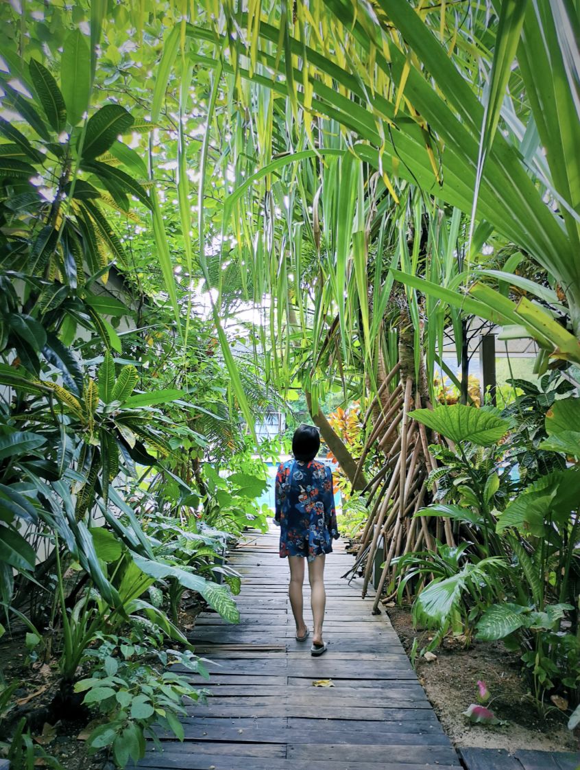 去宿雾攻略,宿雾旅行攻略