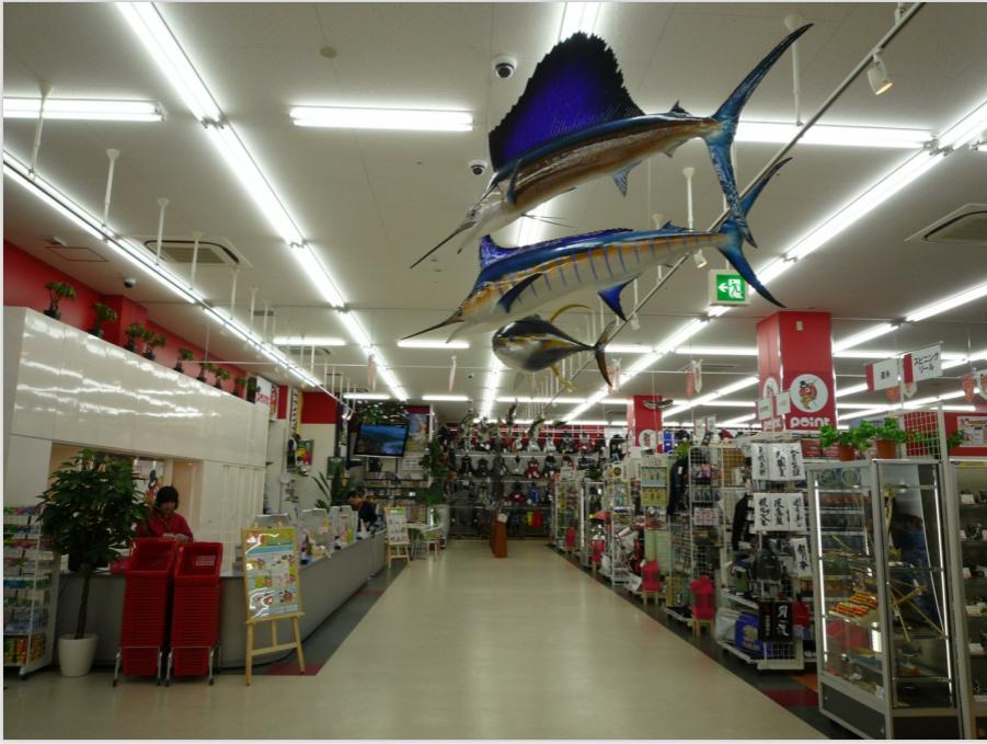 日本钓具大全,日本进口钓具专卖店