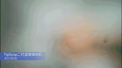 华为手机显微镜放大1000倍清晰,怎样才能把手机变成显微镜模式