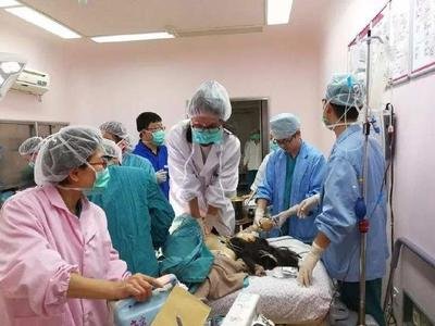 剖完第二天有什么想问的问题,剖后第一天怎么排气