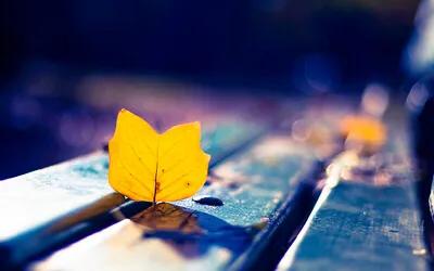 以爱之名粉丝,以爱之名共度余生群名