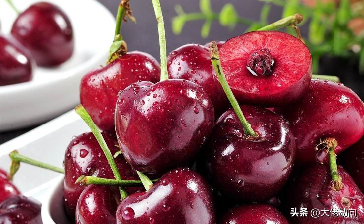 北纬37度一座神奇的城市,北纬37度是什么神奇的