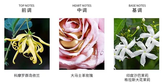 女生不能错过的3款香水，超级显气质