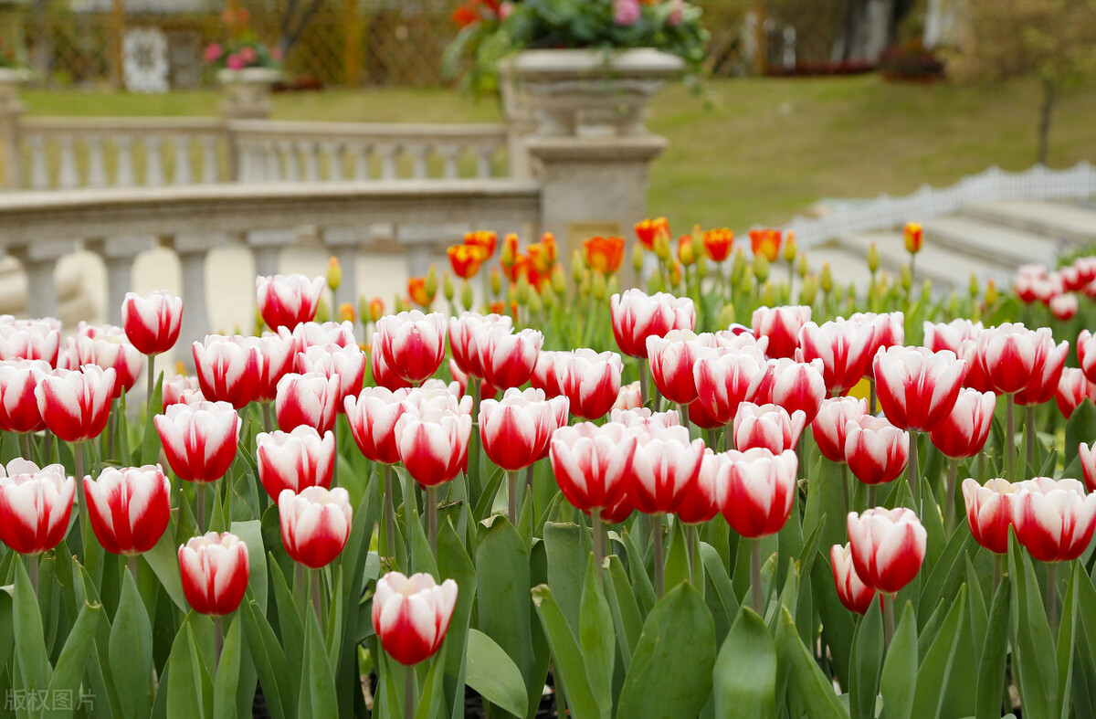 厦门五一旅游攻略景点打卡,厦门旅游必打卡景点