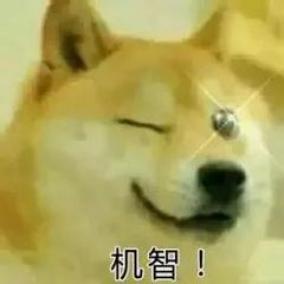 青蛙住“宾馆”，农田会呼吸，这个村发生了啥？