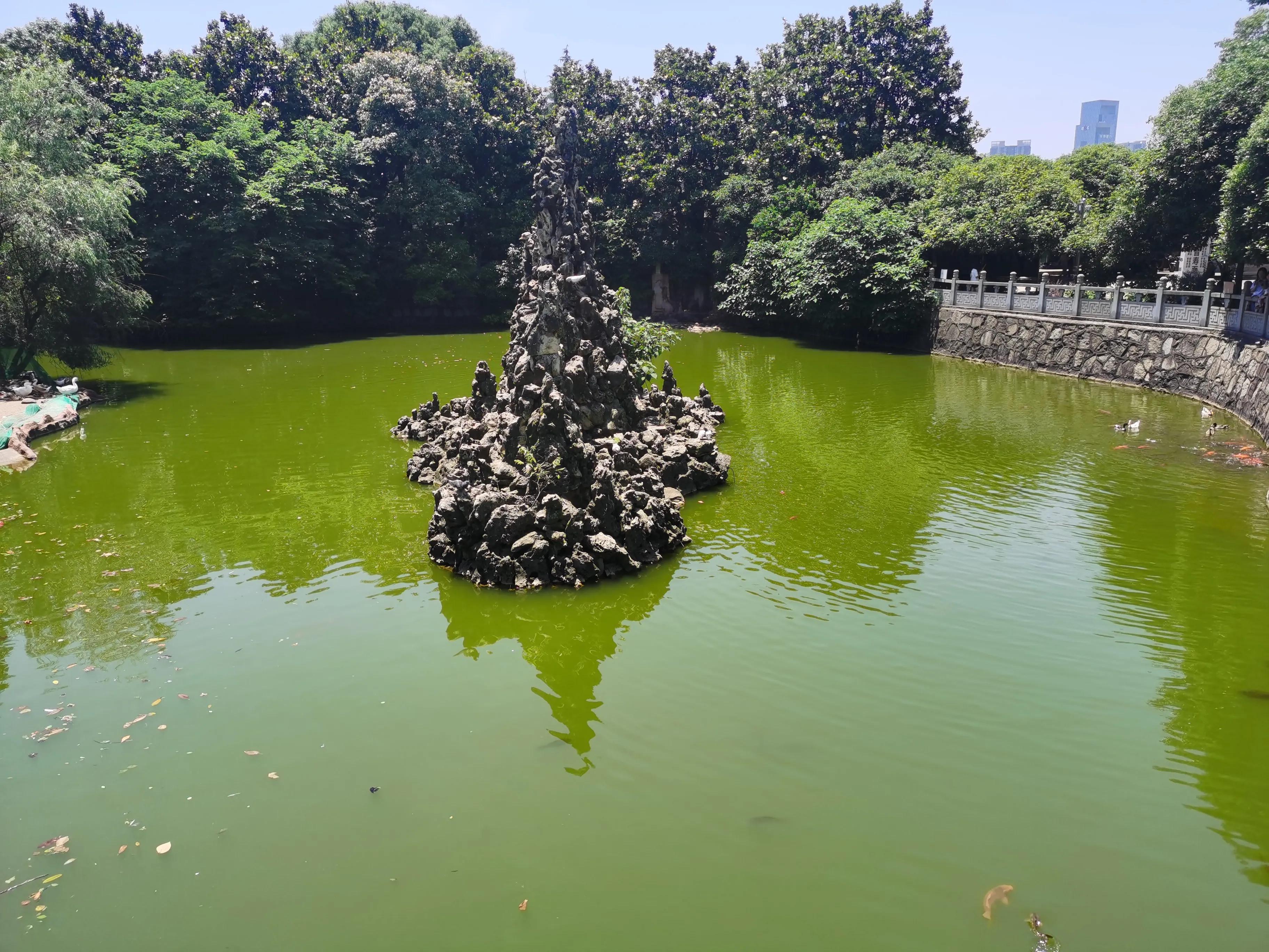 紫微栖凤碧浪潜龙是什么意思,紫微栖凤碧浪潜龙