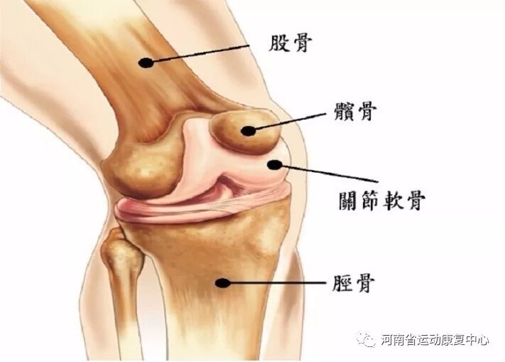 运动导致膝关节损伤怎么办,膝关节运动为什么会损伤