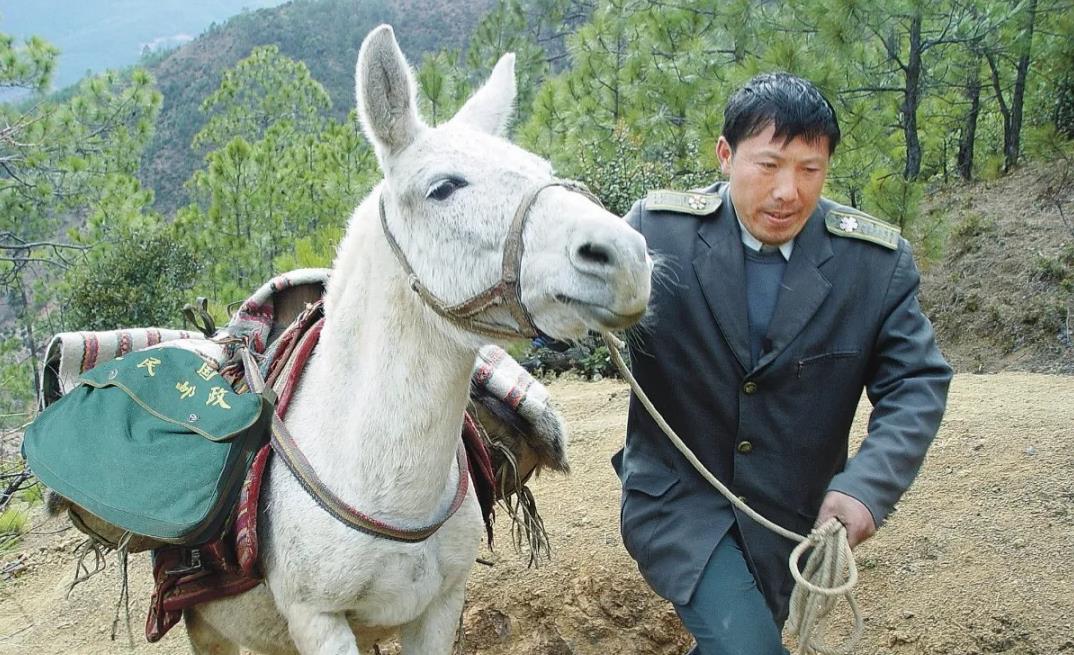 四川老汉露宿深山32年，2005年受邀去欧洲演讲，84个国家代表泪目