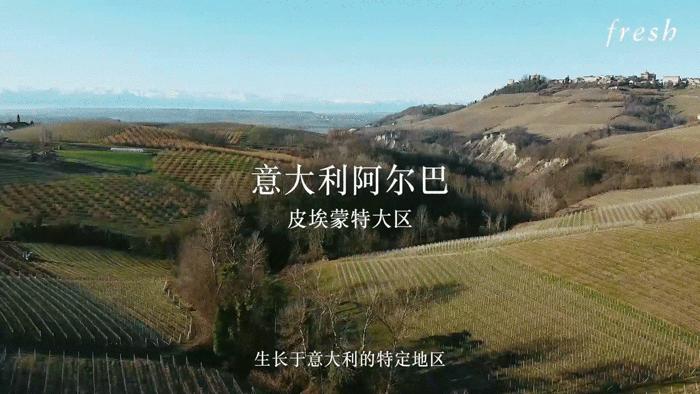 fresh白松露面膜吐槽,fresh面膜199