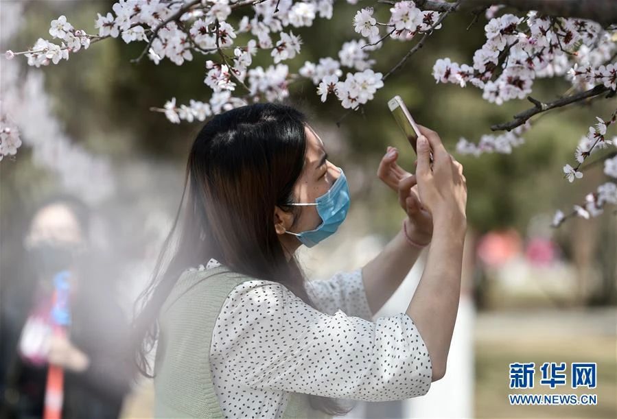 31省区市新增4例无症状感染者,31个省份确诊49例无症状感染者