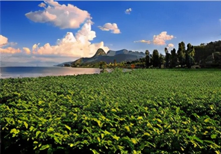 打动“音乐诗人”李健的高原湖泊,原来来这儿旅游如此休闲惬意