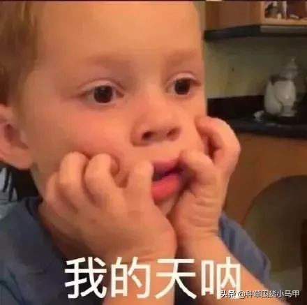 一招教你识别假代购,网上代购是真是假