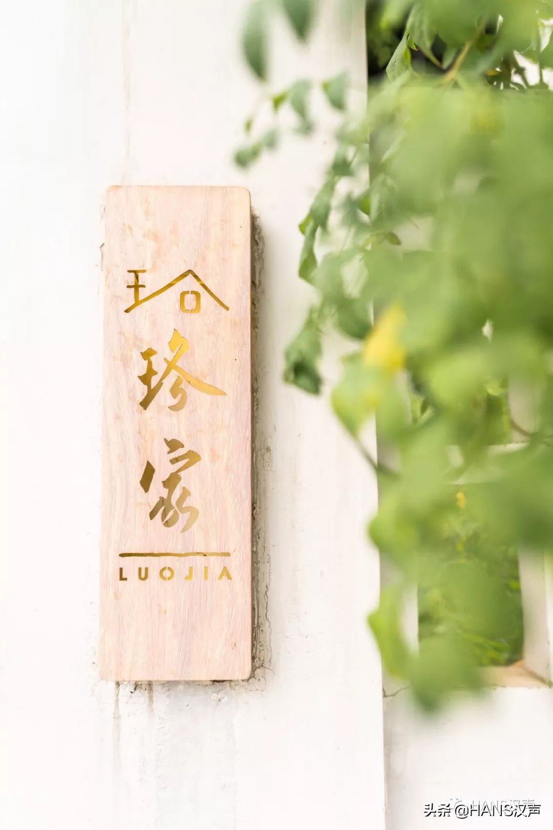 立冬了就要涮火锅吃肉肉抵御寒冷,就要立冬了