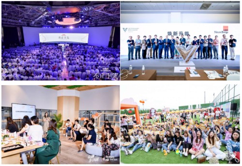 站在风口上的猪都能飞上天,站在风口上的猪也能飞起来