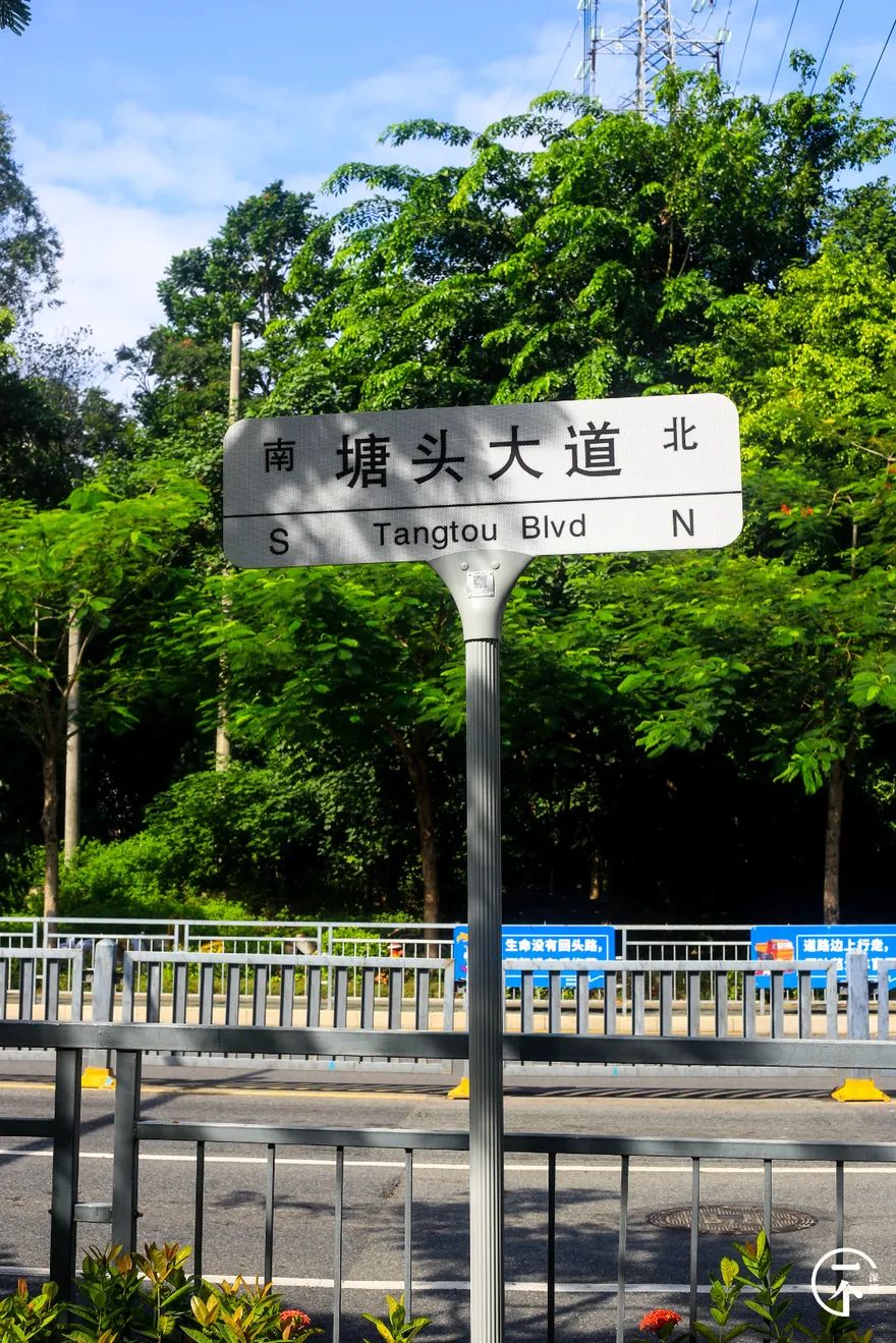 深圳“厂哥村”，女生可以百里挑一？