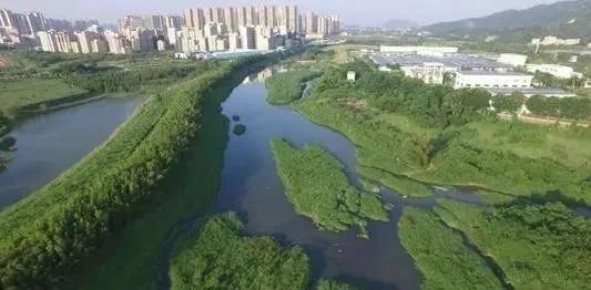 深圳市有梦想城市,深圳有梦想的城市