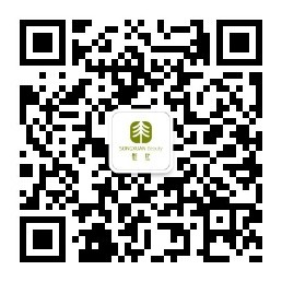 新手眼影入门四种画法,眼影新手入门画法大地色