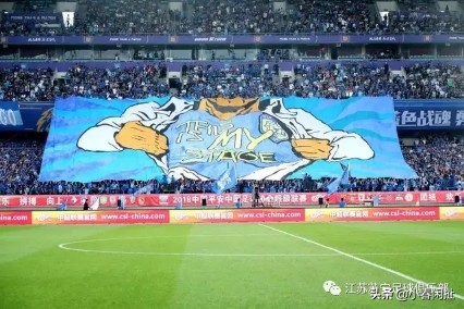 苏宁足球比赛最新消息,江苏苏宁冲突视频