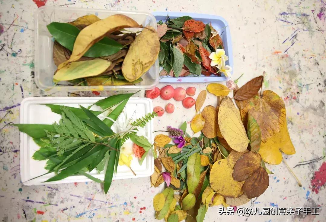 小班美工塑料袋拓印画教案,植物拓印创意教程视频