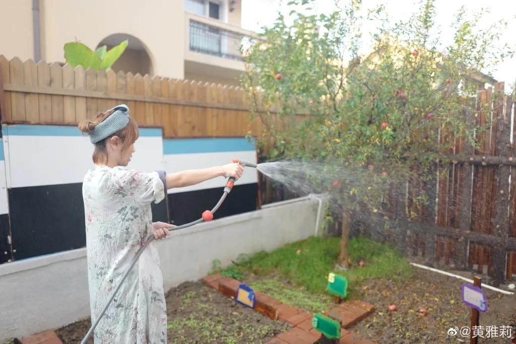 城市版的李子柒,李子柒真实的豪宅变化