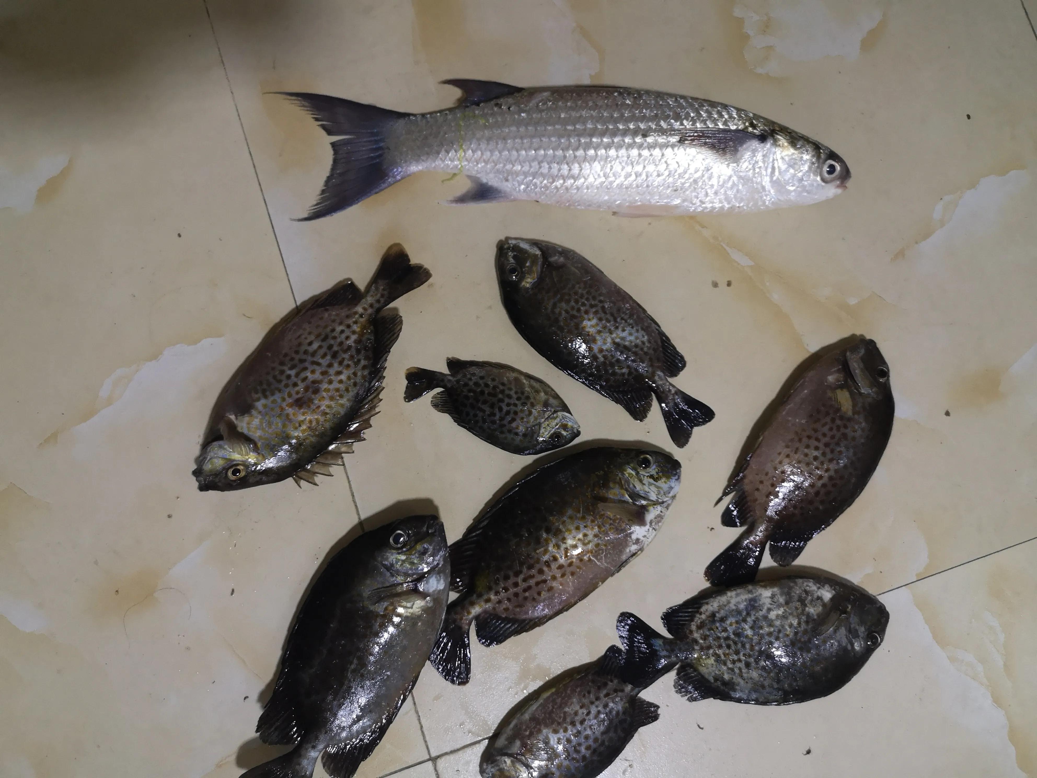 贵州大学8090后的回忆,贵州大学往事