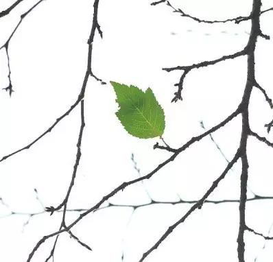 三个哲理小故事看完让你豁然开朗,有哲理又简单的小故事关于人生的