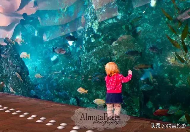 西雅图一生必去的景点,西雅图旅游攻略必去景点大全