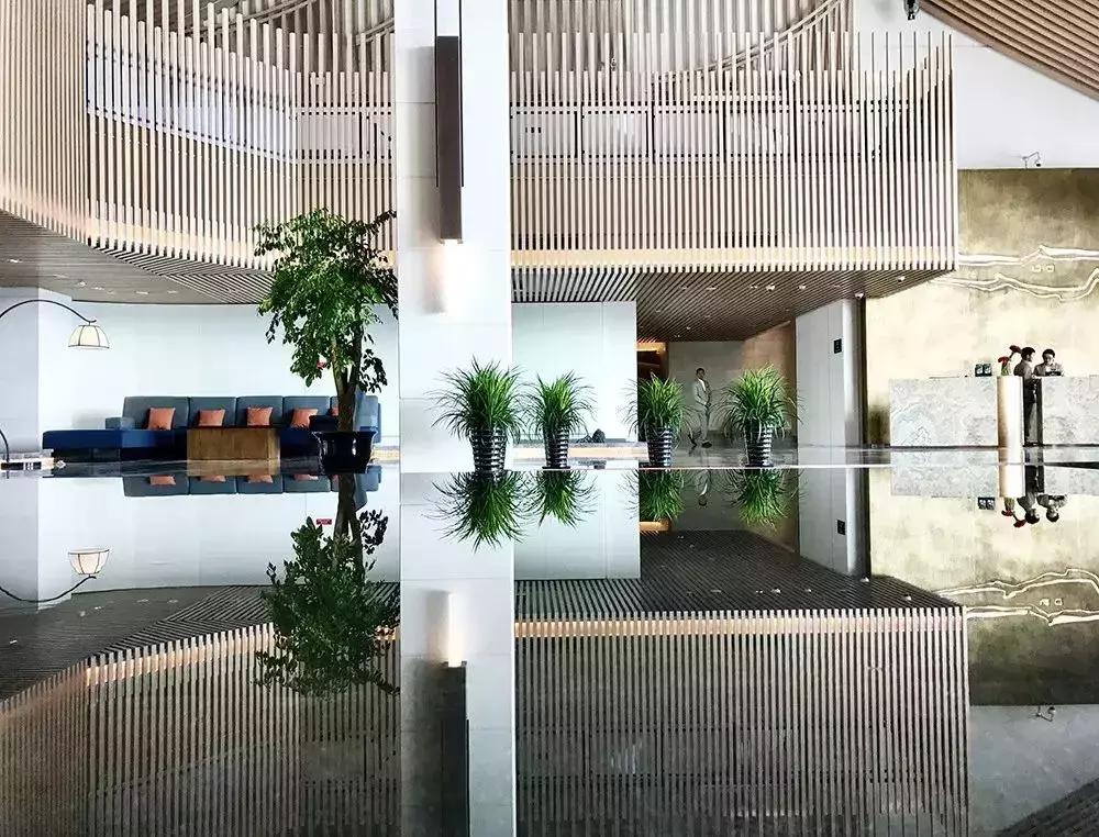 水月周庄铂尔曼酒店夜景,水月周庄铂尔曼酒店是几星级酒店