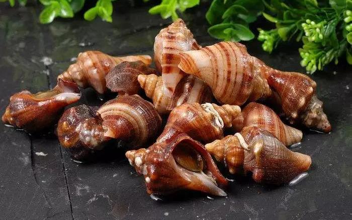 从化流溪温泉度假酒店,广州从化逸泉国际大酒店